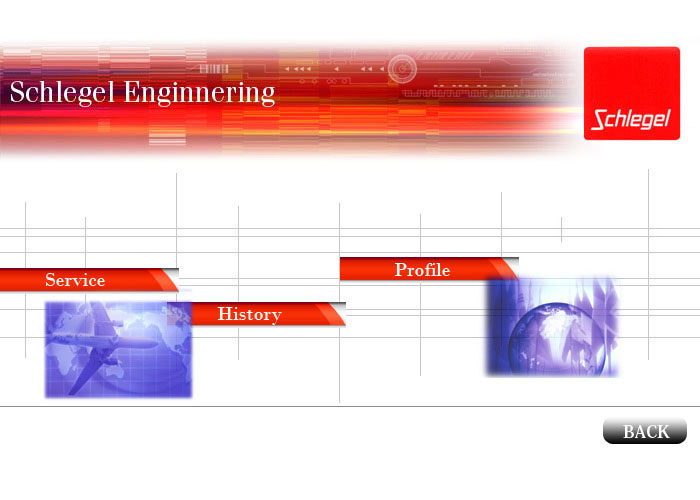 Schlegel-eng.com